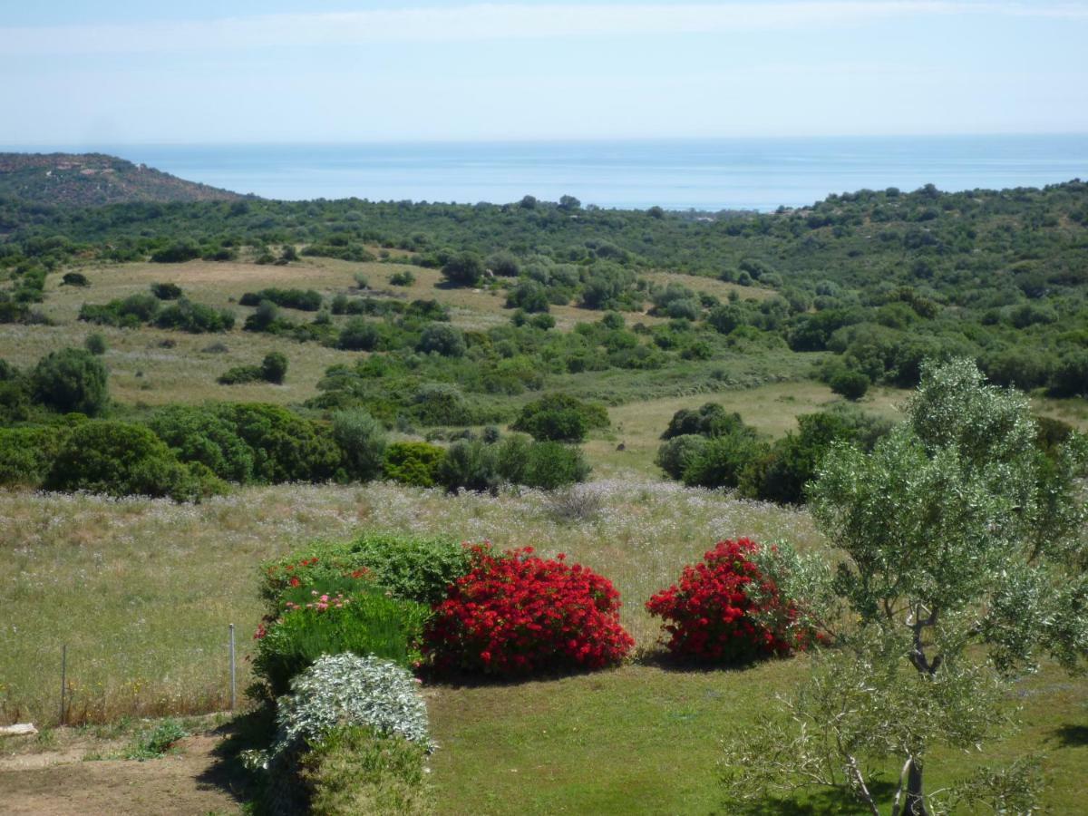 Fattoria Di Anja E Marco Villa Costa Rei Luaran gambar